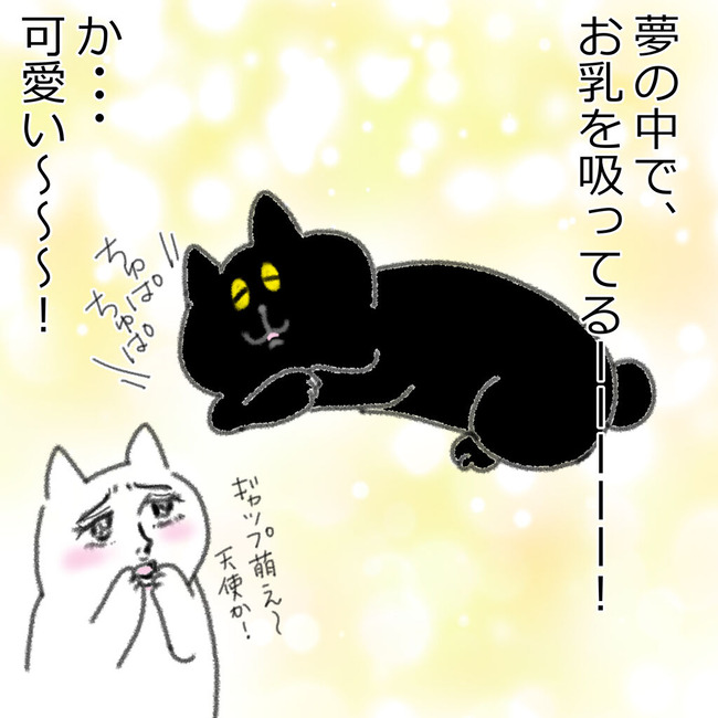 くうちゃん２