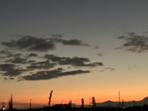 IMG_1496 - コピー