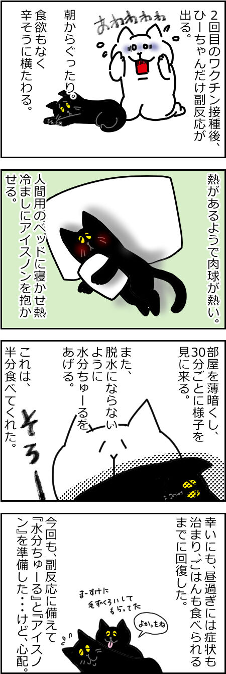 ひーちゃんの
