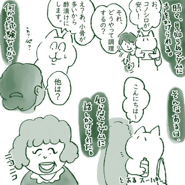 イラスト247