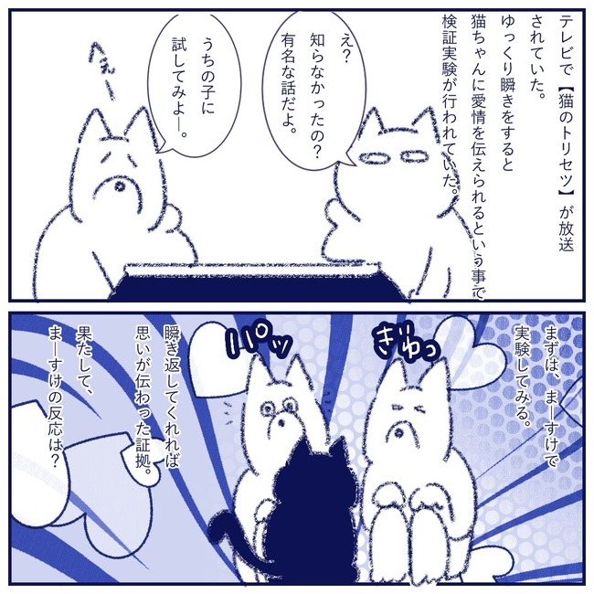 猫のトリセツ