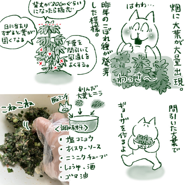 イラスト274
