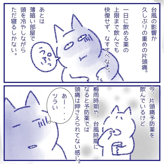 無題127_20251011213722