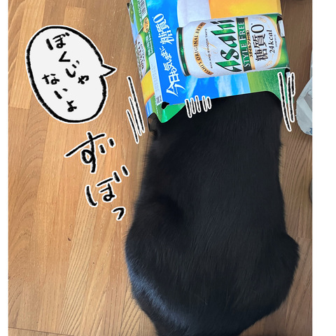 イラスト77