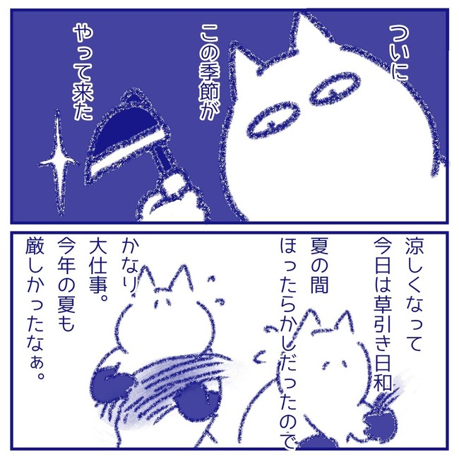 無題135_20251025132634