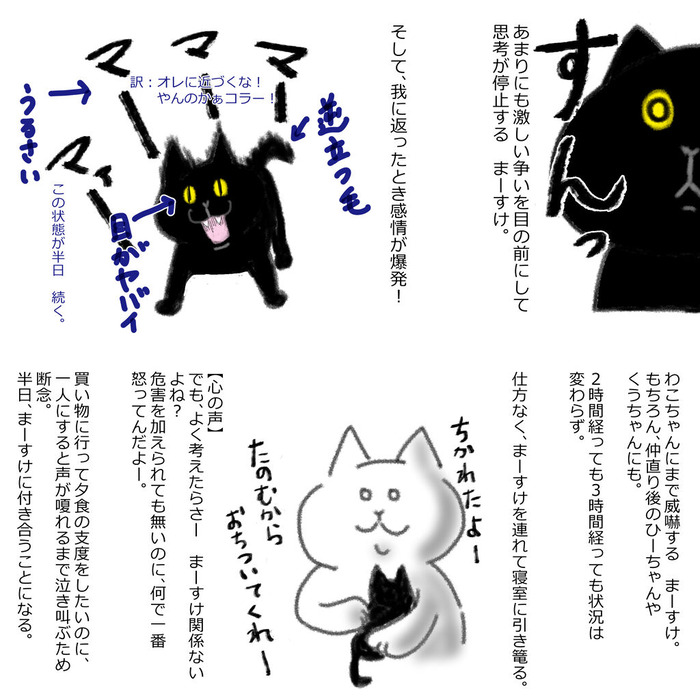 兄弟げんか３