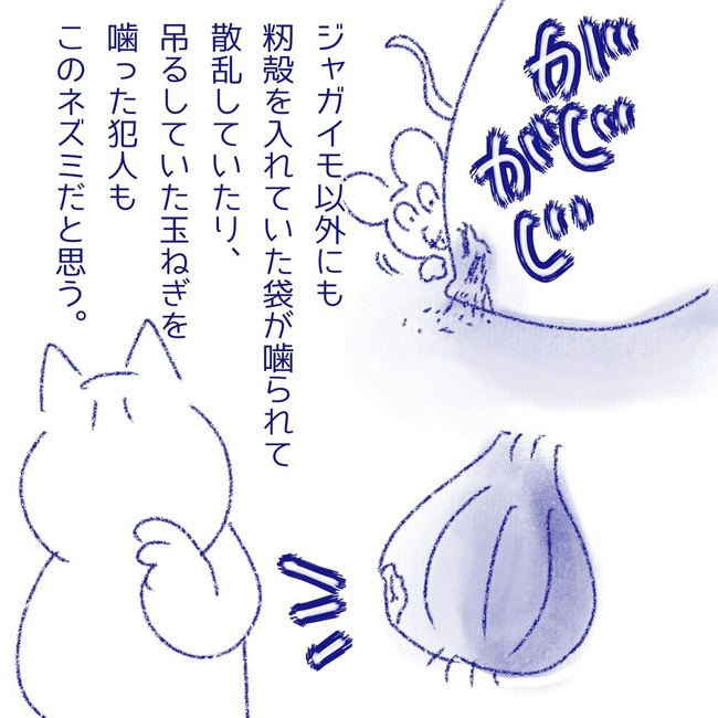 無題51_20250711201332