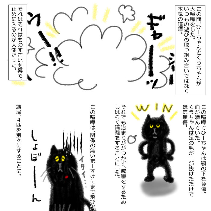 兄弟げんか