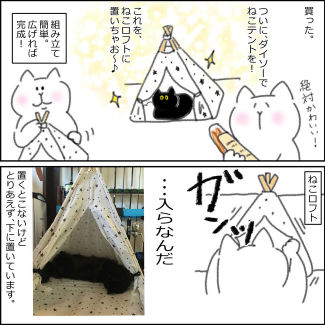 テント