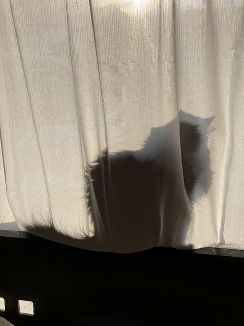 IMG_1706 - コピー