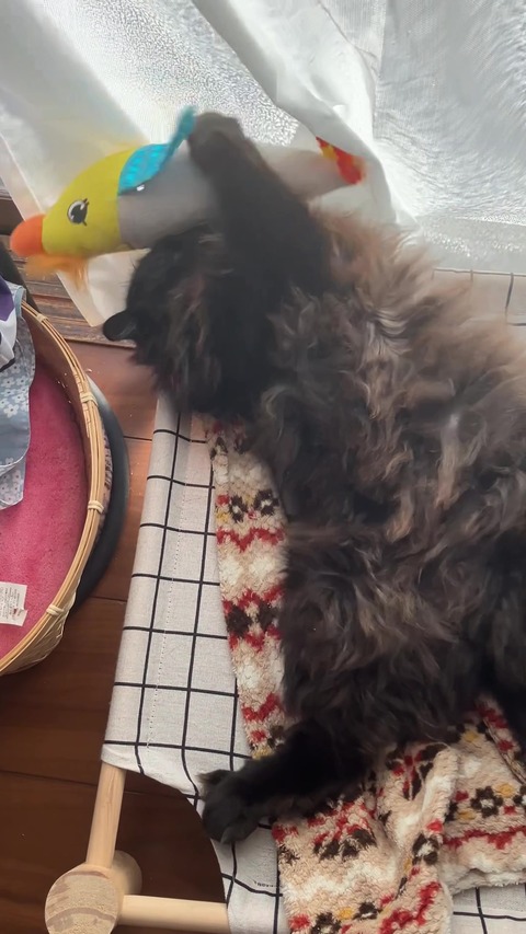 IMG_0869 - frame at 0m21s