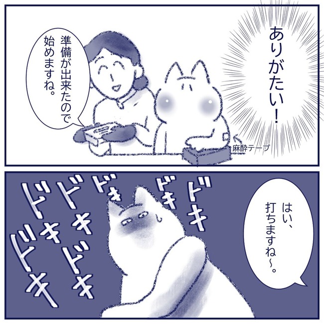 麻酔テープ2