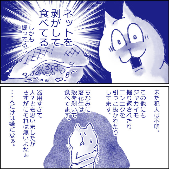 イラスト174