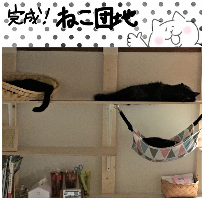 猫団地2