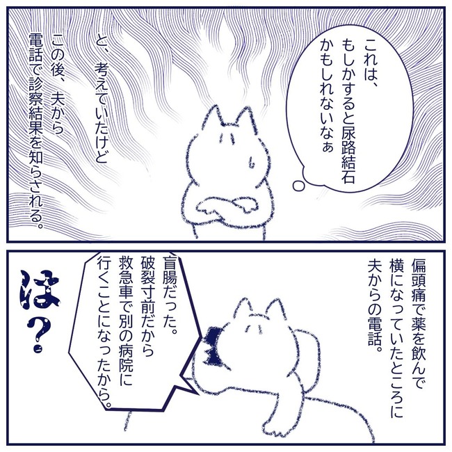 盲腸4