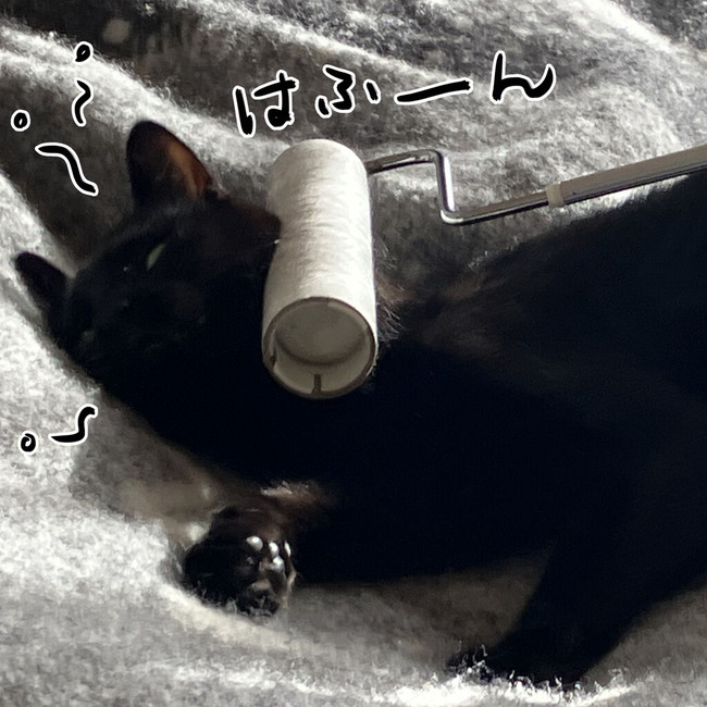 イラスト157