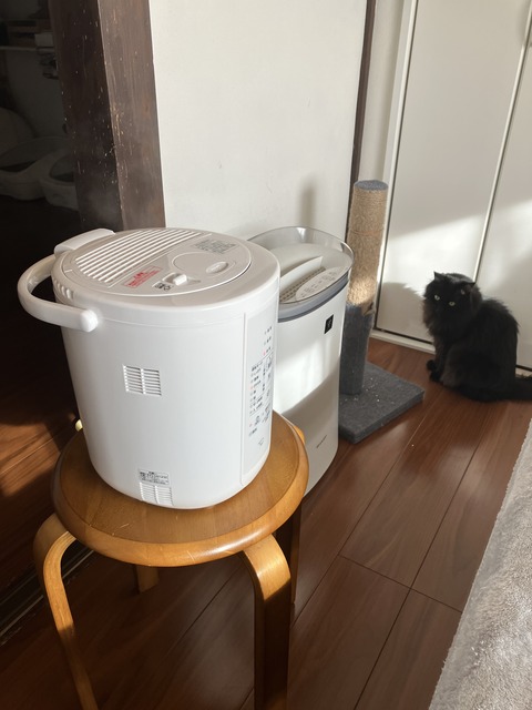 IMG_1546 - コピー