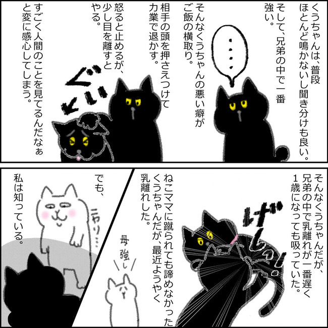 くうちゃん
