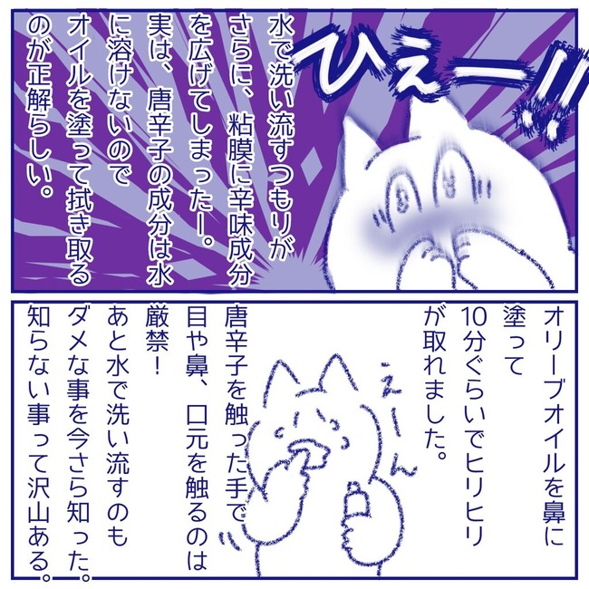 無題63_20250726102234