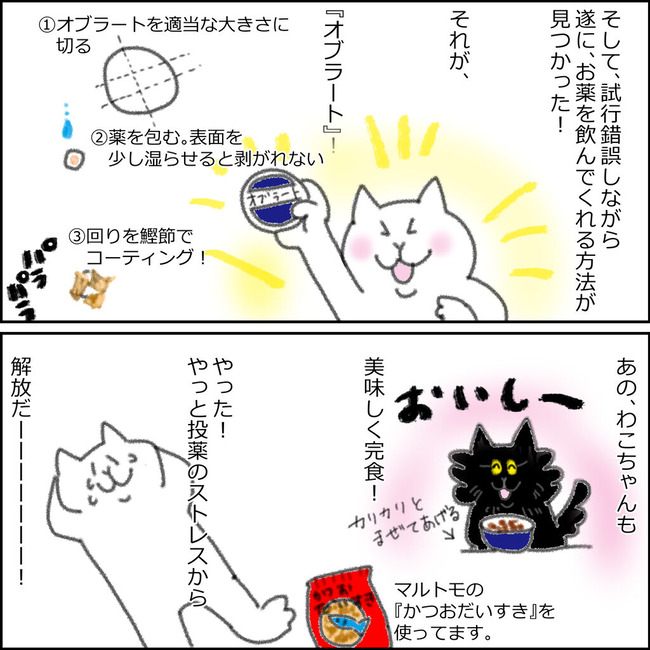 ねこの薬2