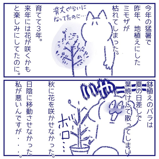 無題136_20251025140540