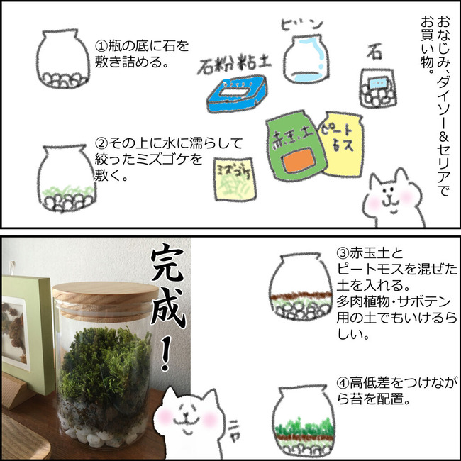 苔テラリウム２