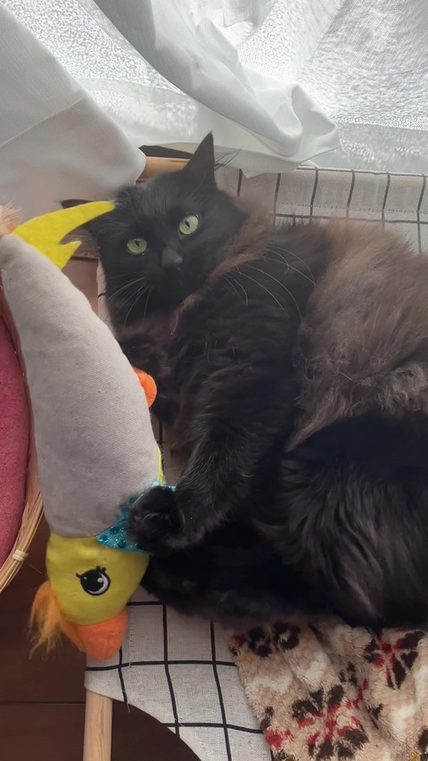 IMG_0869 - frame at 0m34s