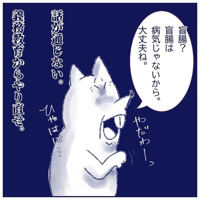 キライ3