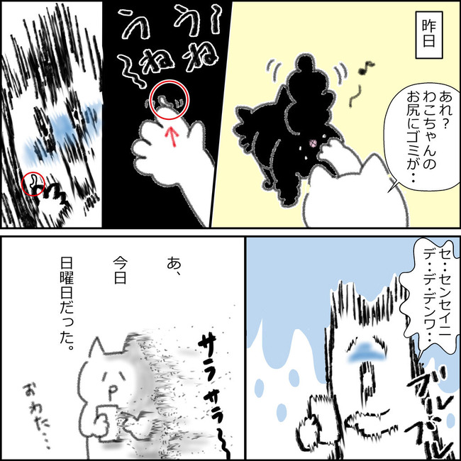 虫