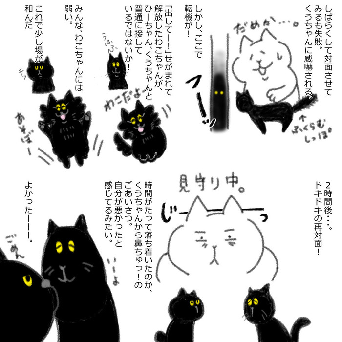 兄弟げんか２