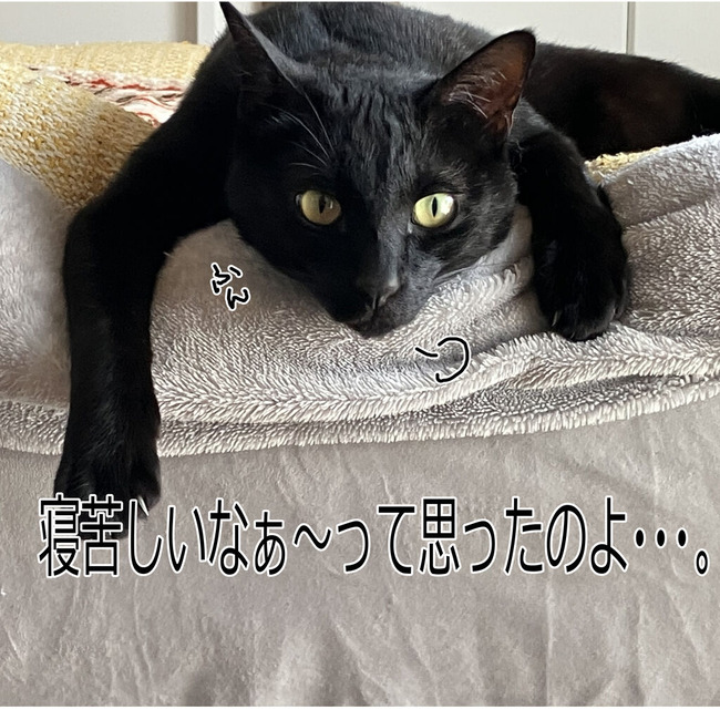 イラスト83
