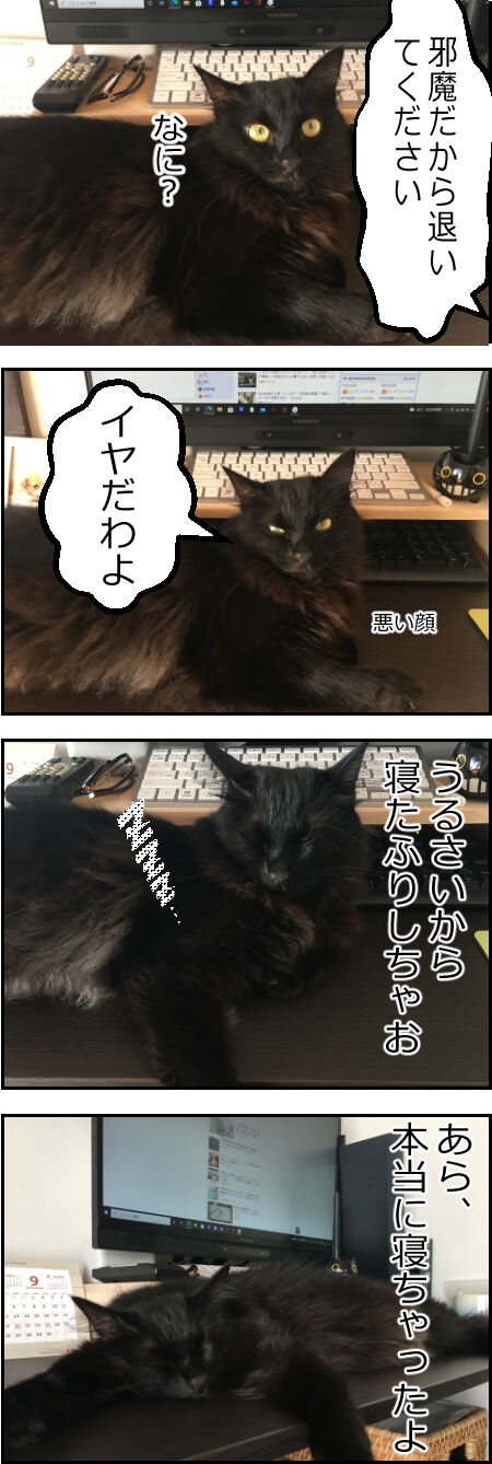 写真漫画