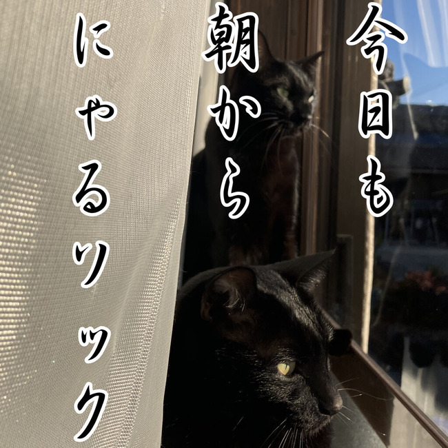 イラスト156
