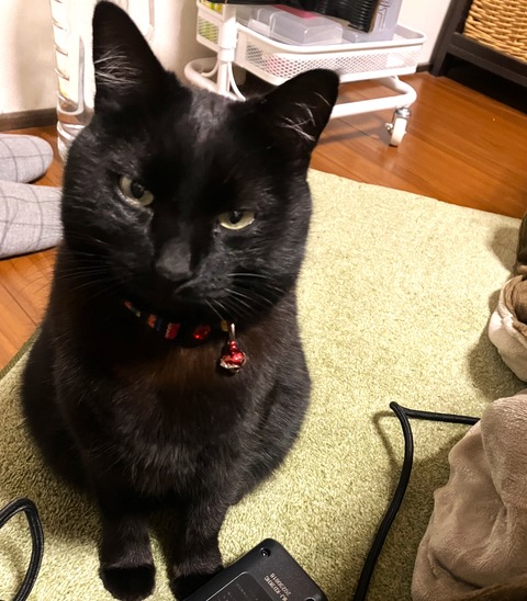 IMG_0924 - コピー