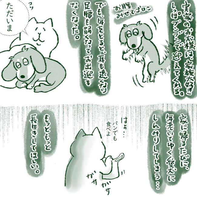 イラスト257
