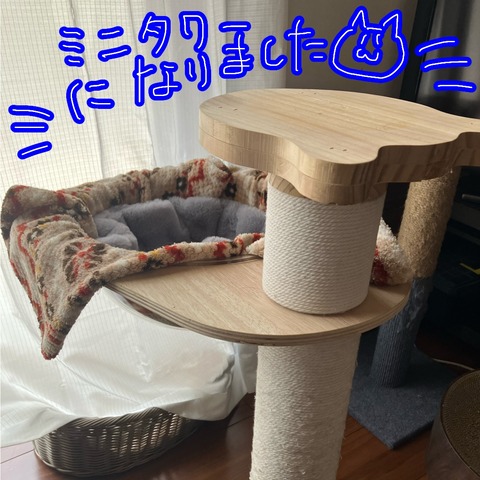 無題16_20260331184016