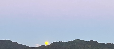 IMG_0749
