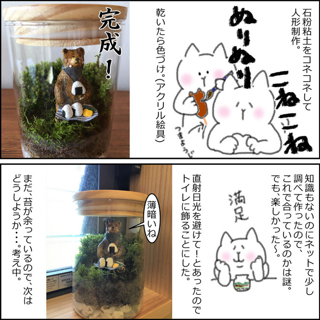 苔テラリウム３