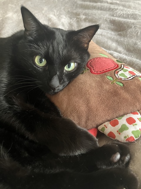 IMG_1721 - コピー