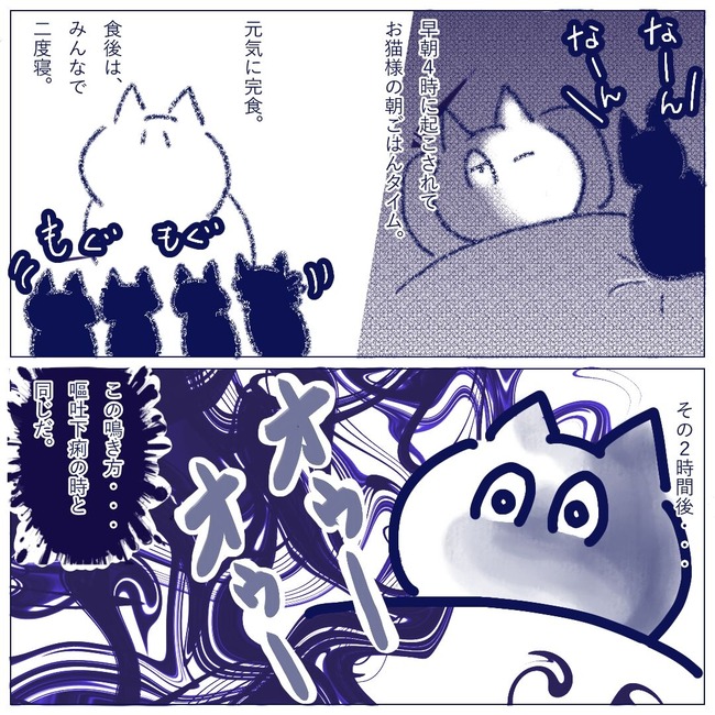 ライブドアブログ用