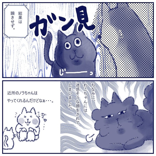 猫のトリセツ2