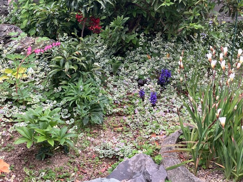 IMG_2281