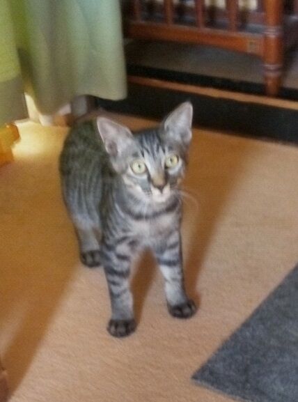 真・やっくん二世