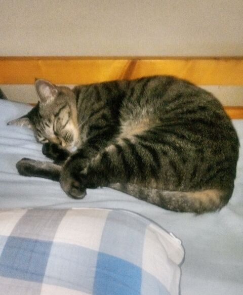 25.12.14　ピーター