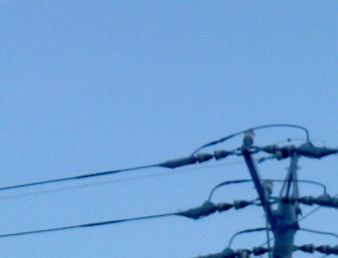 17年7月1日-2