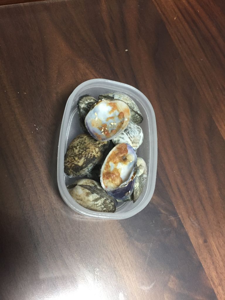 豆チョウ トゲチョウチョウウオ の餌付け 猫吉の海水魚日記 豆チョウ トゲチョウチョウウオ の餌付け 猫吉の海水魚日記