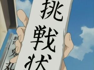 ヘルパーからの果たし状 猫の空想