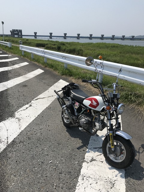 29