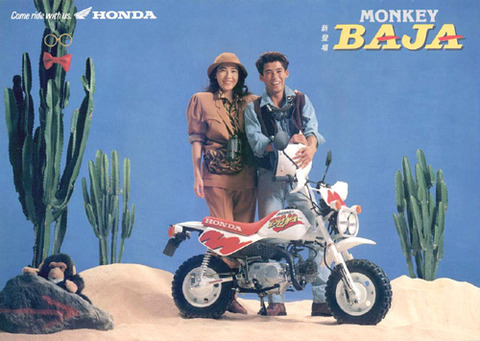 Z50JBAJA1