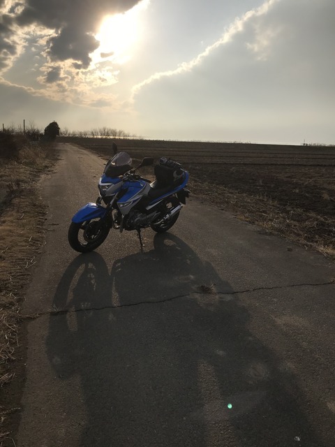 29